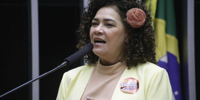 ”Bolsonaro nunca está do lado do povo”, diz Perpétua sobre veto do despacho gratuito de bagagem