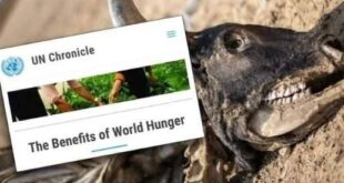 Inacreditável: site da ONU traz artigo intitulado "Os benefícios da Fome Mundial"