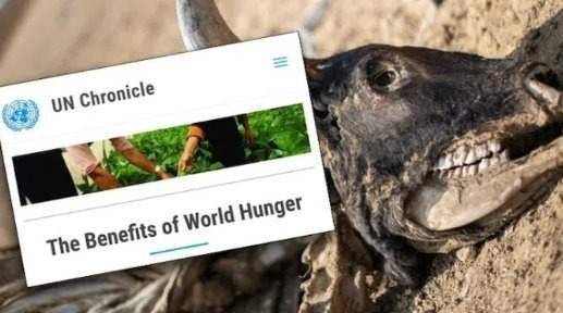 Inacreditável: site da ONU traz artigo intitulado "Os benefícios da Fome Mundial"