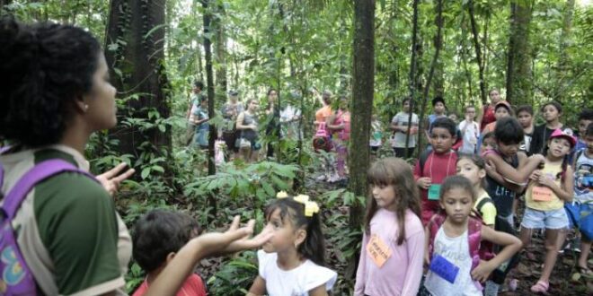 Lei institui campanha Junho Verde, para conscientização ambiental