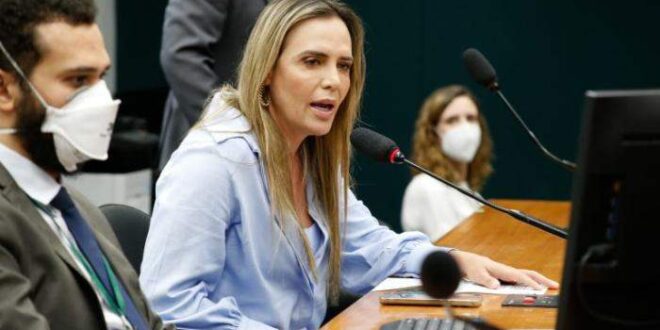 Comissão debate medida provisória que cria programa de emprego para mulheres e jovens