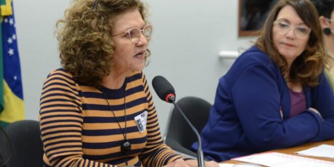Debatedoras criticam medida provisória que prevê o uso do FGTS para financiar creches