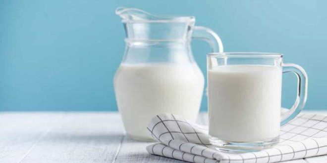 Não é possível substituir leite por soro de leite, confirmam nutricionistas