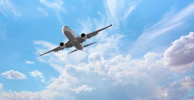 Mutação: Piloto britânica morre após picada de inseto durante curso na Bélgica