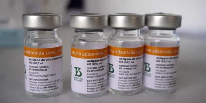 Coronavac para crianças entre 3 e 5 anos: tire suas dúvidas