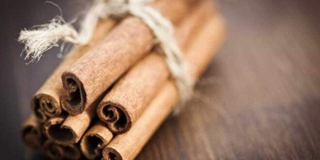 Canela é uma verdadeira aliada da boa saúde; saiba mais!