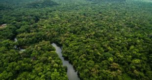 Projeto bilionário dos EUA contra desmatamento na Amazônia segue travado