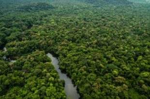 Projeto bilionário dos EUA contra desmatamento na Amazônia segue travado