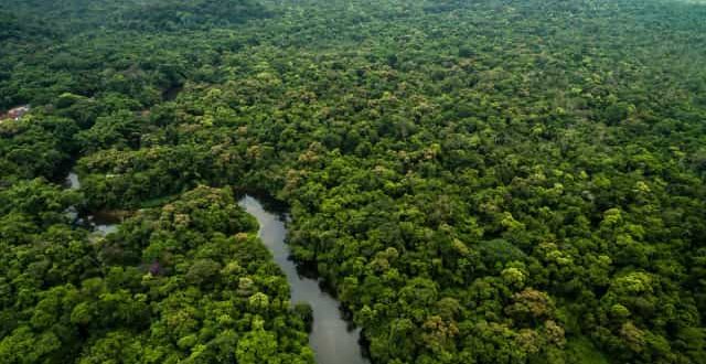 Projeto bilionário dos EUA contra desmatamento na Amazônia segue travado
