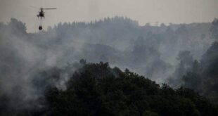 Onda de calor na Europa faz Portugal reviver trauma de incêndios que mataram mais de 100