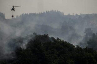 Onda de calor na Europa faz Portugal reviver trauma de incêndios que mataram mais de 100