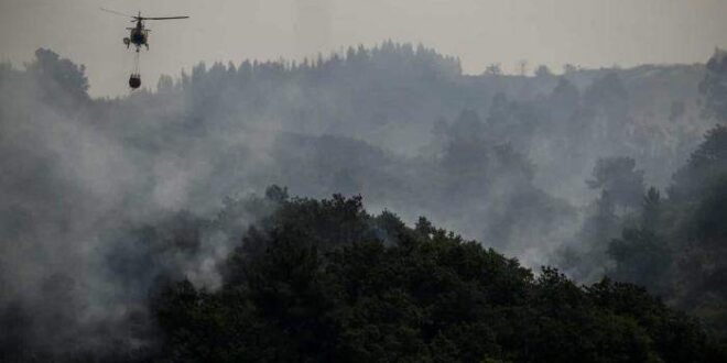 Onda de calor na Europa faz Portugal reviver trauma de incêndios que mataram mais de 100