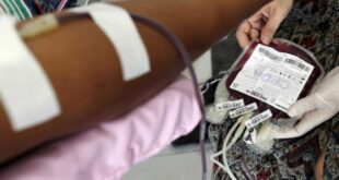Entenda como funciona a doação de medula óssea no país