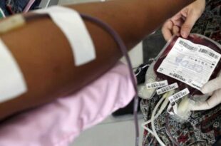 Entenda como funciona a doação de medula óssea no país