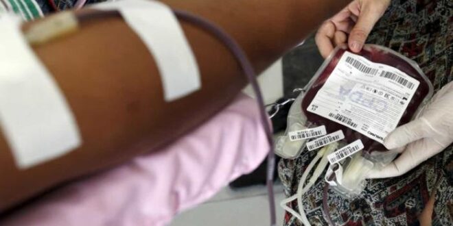 Entenda como funciona a doação de medula óssea no país