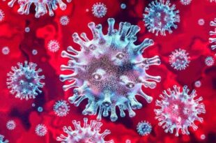 Variante Centauro: especialistas recomendam uso de máscara para se proteger da nova sublinhagem do coronavírus