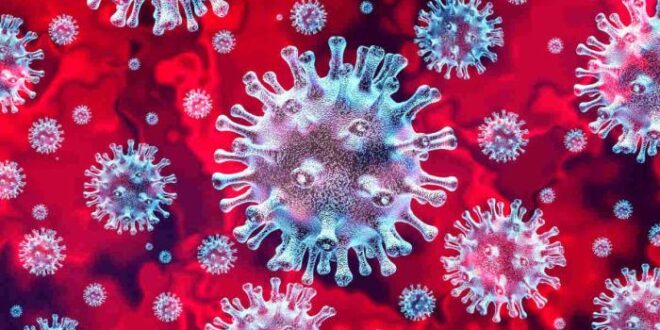 Variante Centauro: especialistas recomendam uso de máscara para se proteger da nova sublinhagem do coronavírus