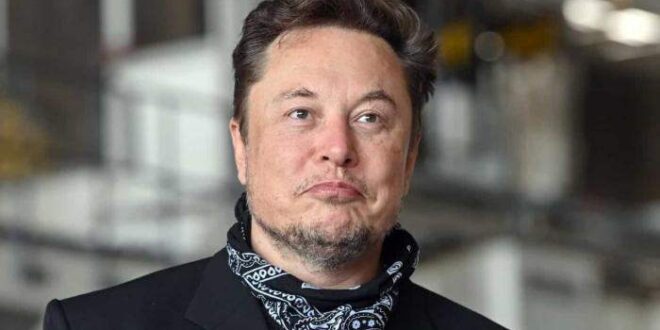 Caso de Elon Musk com esposa de cofundador do Google encerrou casamento e amizade, diz jornal