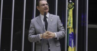 Proposta inclui contagem de cães e gatos no Censo Demográfico