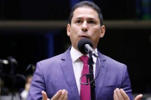 Projeto prevê crédito financeiro para empresa que investir em pesquisa na Amazônia