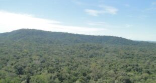 Proposta elimina exigência legal de área de proteção e floresta em terra doada pela União em Rondônia