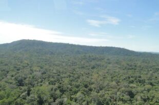 Proposta elimina exigência legal de área de proteção e floresta em terra doada pela União em Rondônia