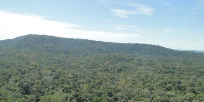 Proposta elimina exigência legal de área de proteção e floresta em terra doada pela União em Rondônia