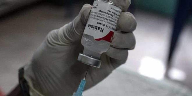 Adolescente que contraiu raiva morre no Distrito Federal