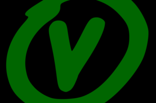 PV inicia campanha Jorge Viana governador, Marcus Alexandre vice
