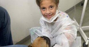 Cães terapia auxiliam no tratamento de crianças internadas em Rio Branco