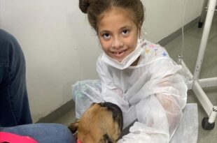 Cães terapia auxiliam no tratamento de crianças internadas em Rio Branco