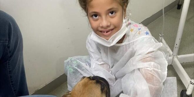 Cães terapia auxiliam no tratamento de crianças internadas em Rio Branco