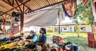 Sem cobertura adequada, feirantes do Mercado da Estação reclamam de prejuízos nas vendas