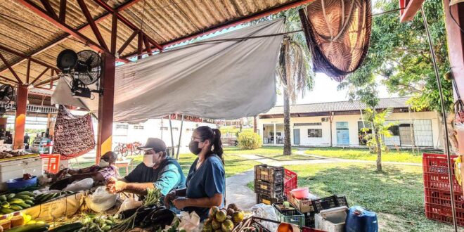 Sem cobertura adequada, feirantes do Mercado da Estação reclamam de prejuízos nas vendas