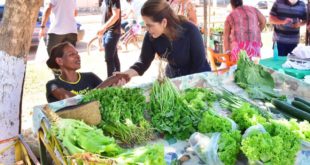 Mara Rocha recebe apoio de comerciantes e produtores em caminhada no Quinari