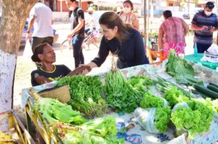 Mara Rocha recebe apoio de comerciantes e produtores em caminhada no Quinari