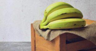 Bananas verdes podem ajudar a reduzir o risco de vários tipos de câncer