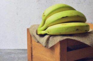 Bananas verdes podem ajudar a reduzir o risco de vários tipos de câncer