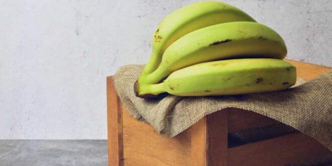 Bananas verdes podem ajudar a reduzir o risco de vários tipos de câncer