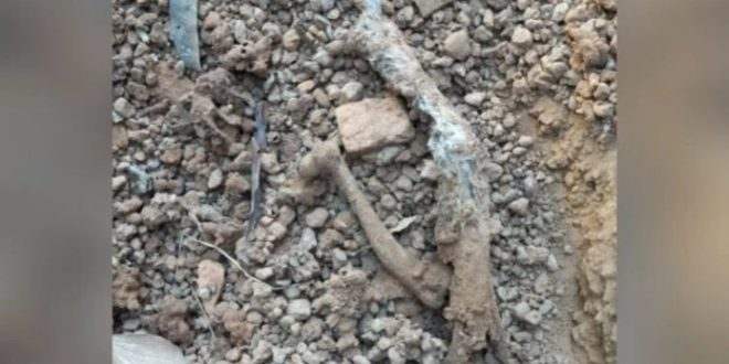 Homem é preso por suspeita de matar gatos e cães para comer