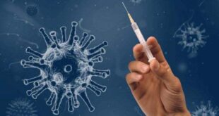 Novo vírus identificado na China já causou surtos de infecções altamente letais em seres humanos