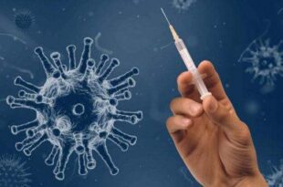 Novo vírus identificado na China já causou surtos de infecções altamente letais em seres humanos