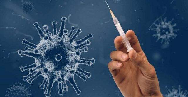 Novo vírus identificado na China já causou surtos de infecções altamente letais em seres humanos