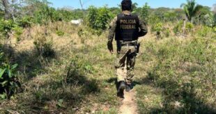 PF prende homem por porte ilegal de arma durante fiscalização com o ICMBio