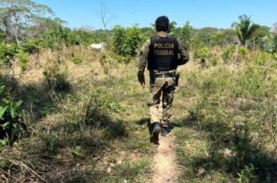 PF prende homem por porte ilegal de arma durante fiscalização com o ICMBio