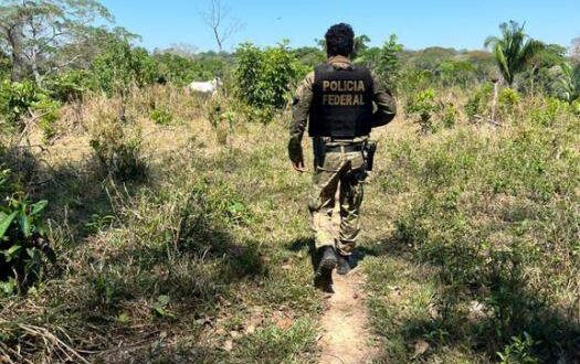 PF prende homem por porte ilegal de arma durante fiscalização com o ICMBio