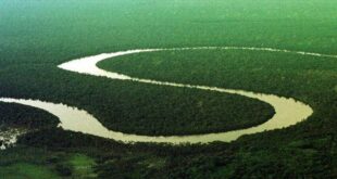 Movimento propõe a ruptura do Norte com o resto do Brasil e a criação do país Amazônia