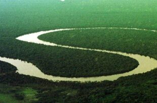 Movimento propõe a ruptura do Norte com o resto do Brasil e a criação do país Amazônia