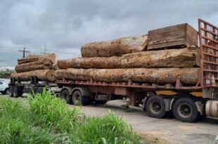 Carreta com toras de madeira e sem nota fiscal é apreendida na BR-364