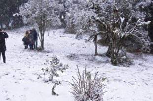 Depois de neve, SC tem previsão de -7ºc e pode registrar dia mais frio do ano